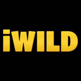 iWild Casino themed experience